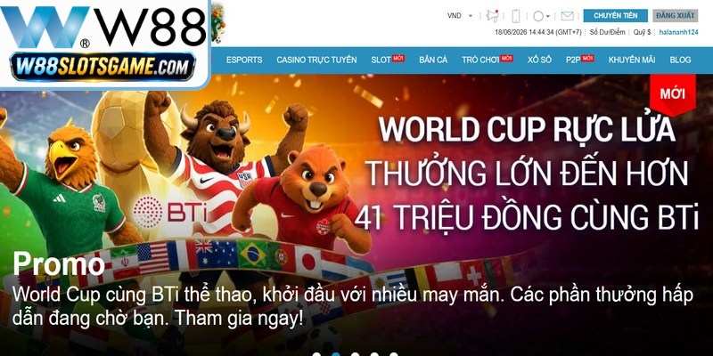 Các câu hỏi thường gặp về quá trình anh em đăng nhập tài khoản W88